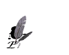 entrarWHT_17576.gif (7902 bytes)