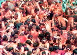 Fried tomatoes.jpg (26228 bytes)