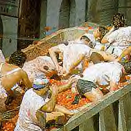 bunol4.jpg (40993 bytes)