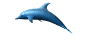 dolphin_swim_md_wht_6133.gif (7230 bytes)