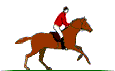 equestrian_e0.gif (13379 bytes)
