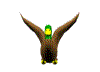 duck.gif (9412 bytes)