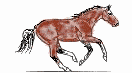 horse.gif (12596 bytes)